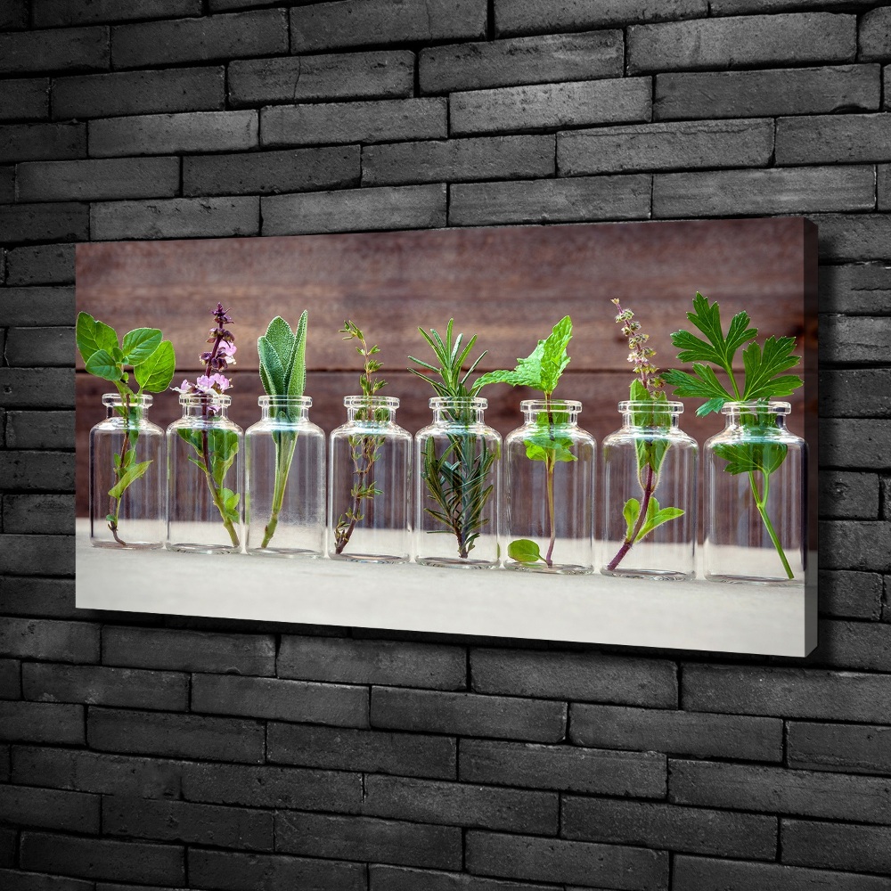 Tableau sur toile Plantes en pots