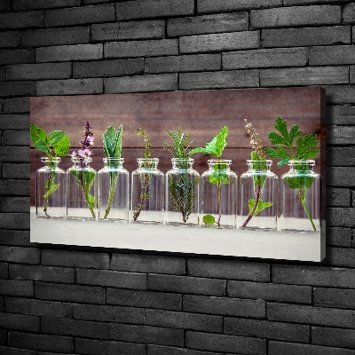 Tableau sur toile Plantes en pots