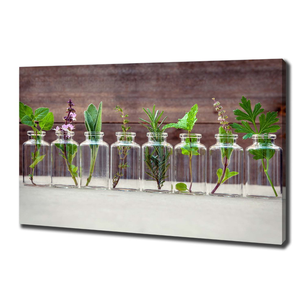 Tableau sur toile Plantes en pots