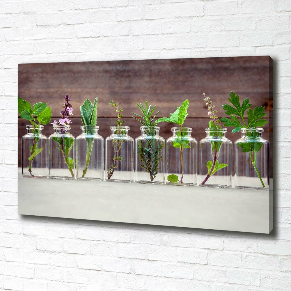 Tableau sur toile Plantes en pots