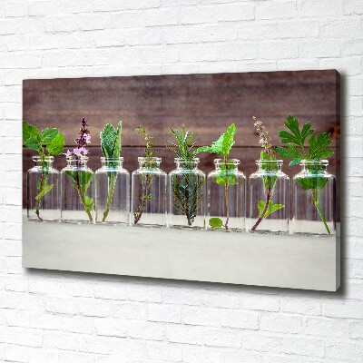 Tableau sur toile Plantes en pots