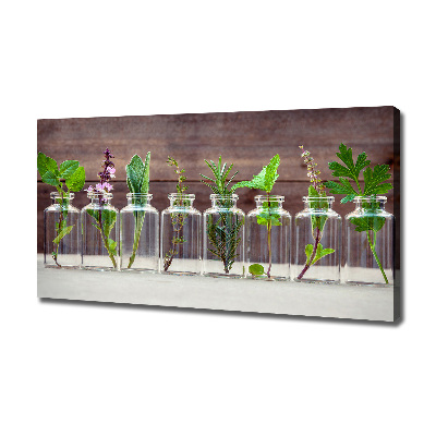 Tableau sur toile Plantes en pots