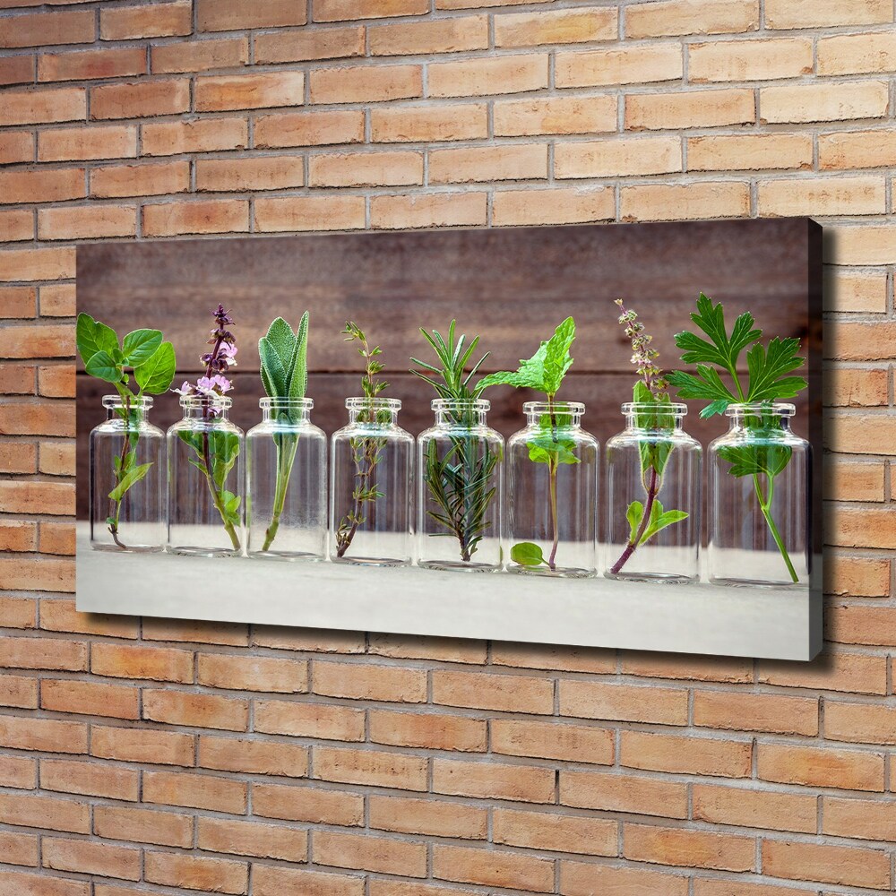 Tableau sur toile Plantes en pots