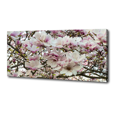 Tableau mural sur toile Fleurs de magnolia