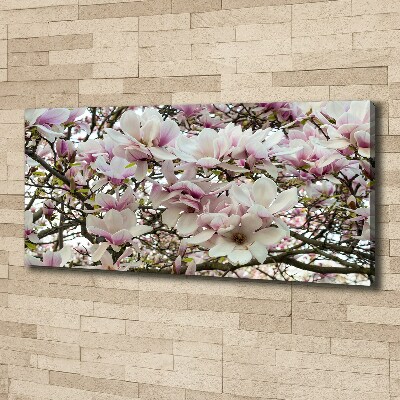 Tableau mural sur toile Fleurs de magnolia