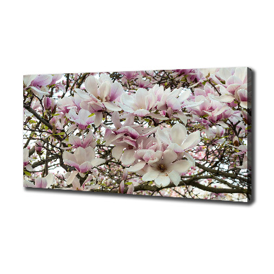 Tableau mural sur toile Fleurs de magnolia