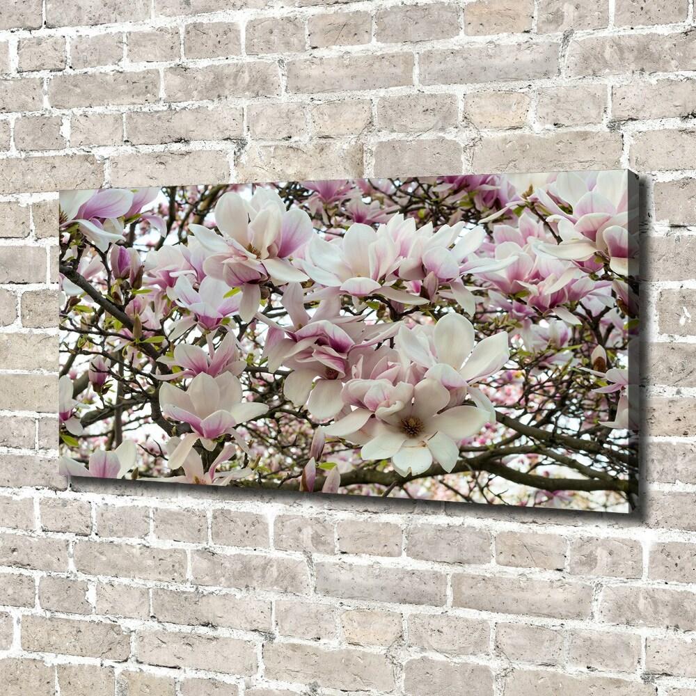 Tableau mural sur toile Fleurs de magnolia