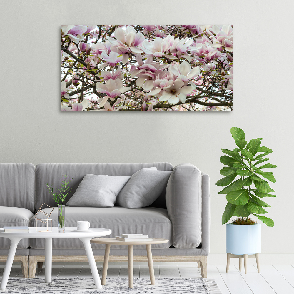 Tableau mural sur toile Fleurs de magnolia