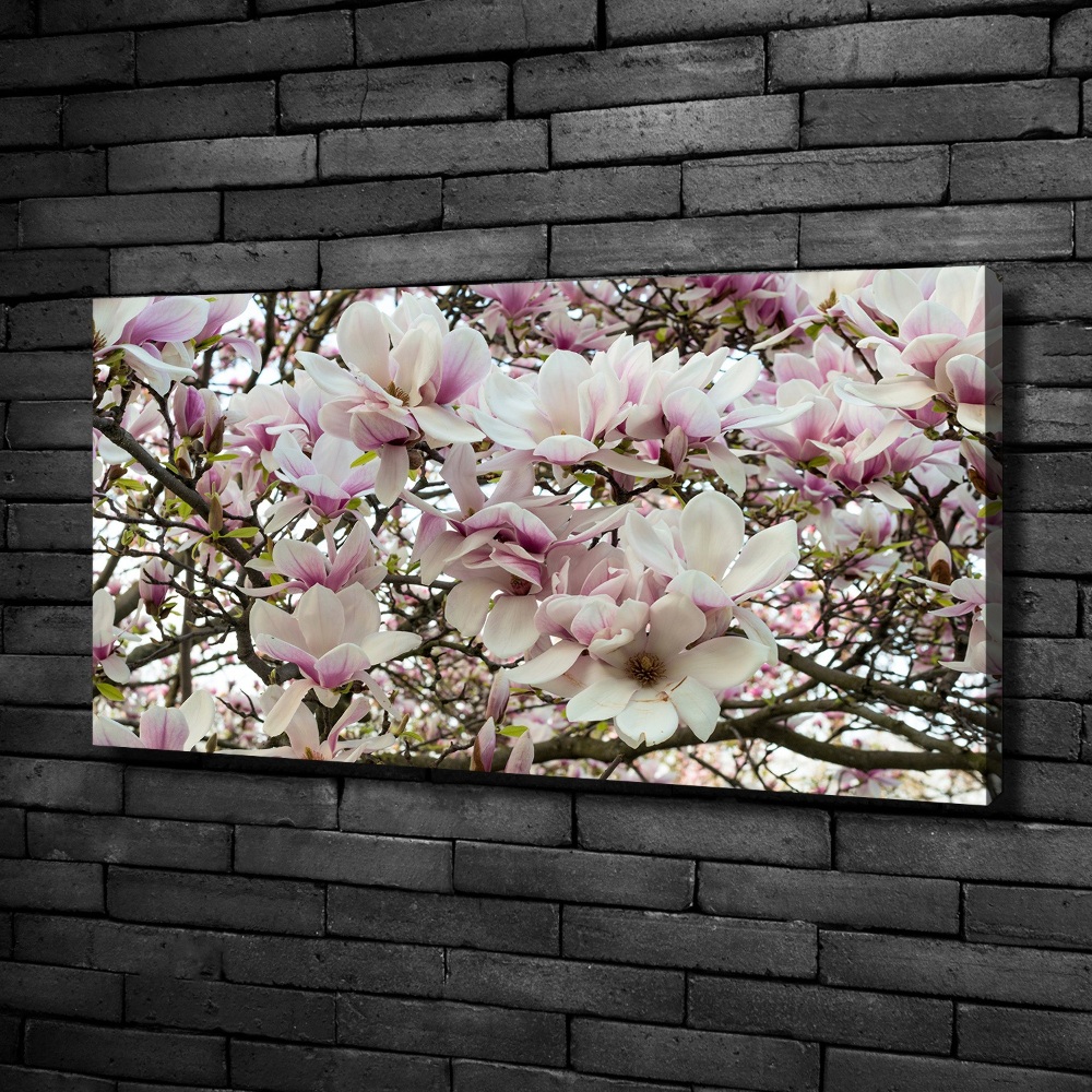 Tableau mural sur toile Fleurs de magnolia