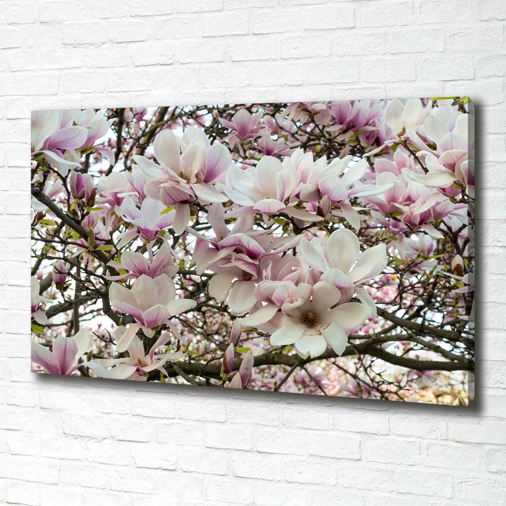 Tableau mural sur toile Fleurs de magnolia