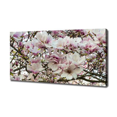 Tableau mural sur toile Fleurs de magnolia