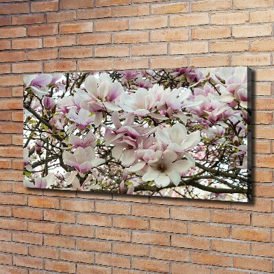 Tableau mural sur toile Fleurs de magnolia