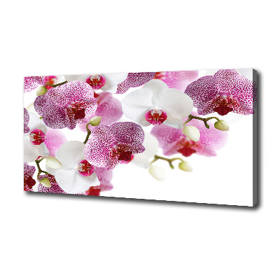 Tableau imprimé sur toile Orchidée plante