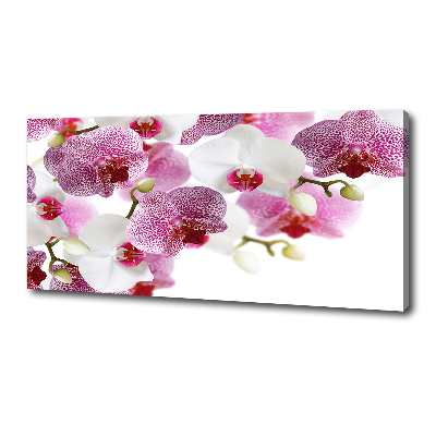 Tableau imprimé sur toile Orchidée plante