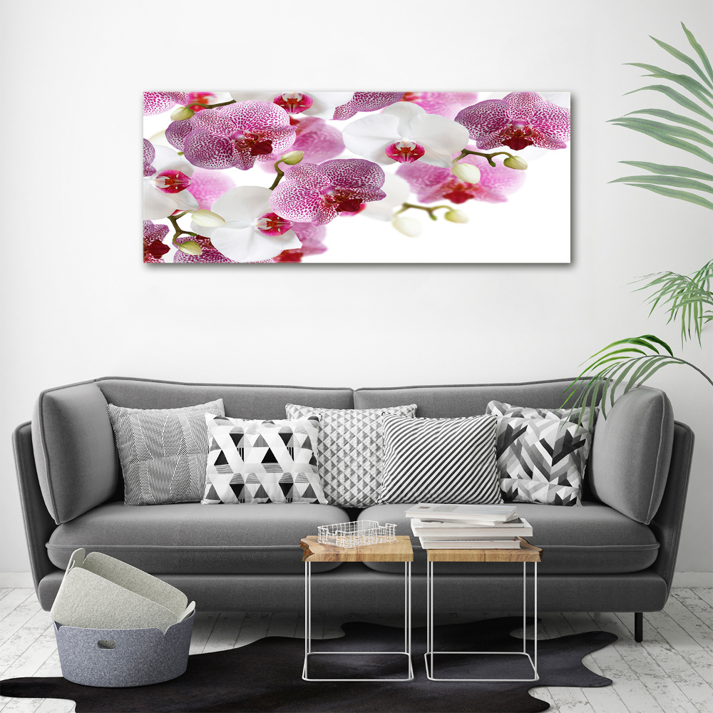 Tableau imprimé sur toile Orchidée plante