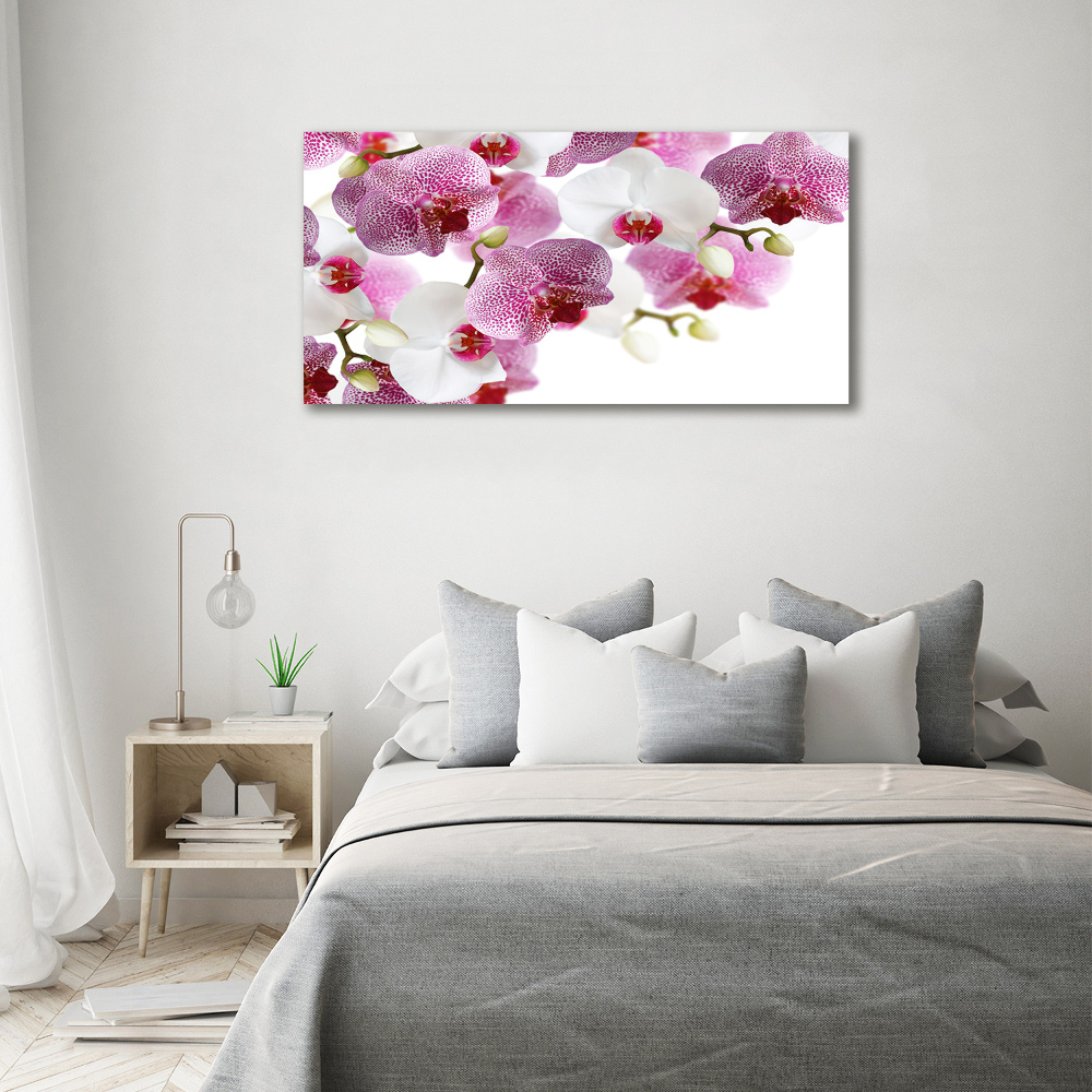 Tableau imprimé sur toile Orchidée plante