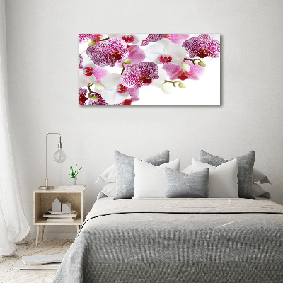 Tableau imprimé sur toile Orchidée plante