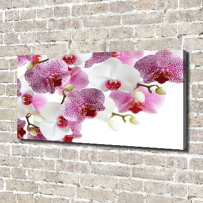 Tableau imprimé sur toile Orchidée plante