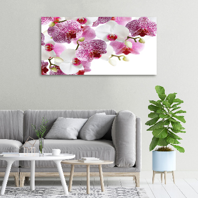 Tableau imprimé sur toile Orchidée plante