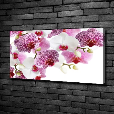 Tableau imprimé sur toile Orchidée plante