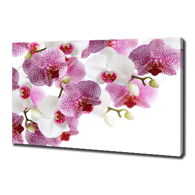 Tableau imprimé sur toile Orchidée plante