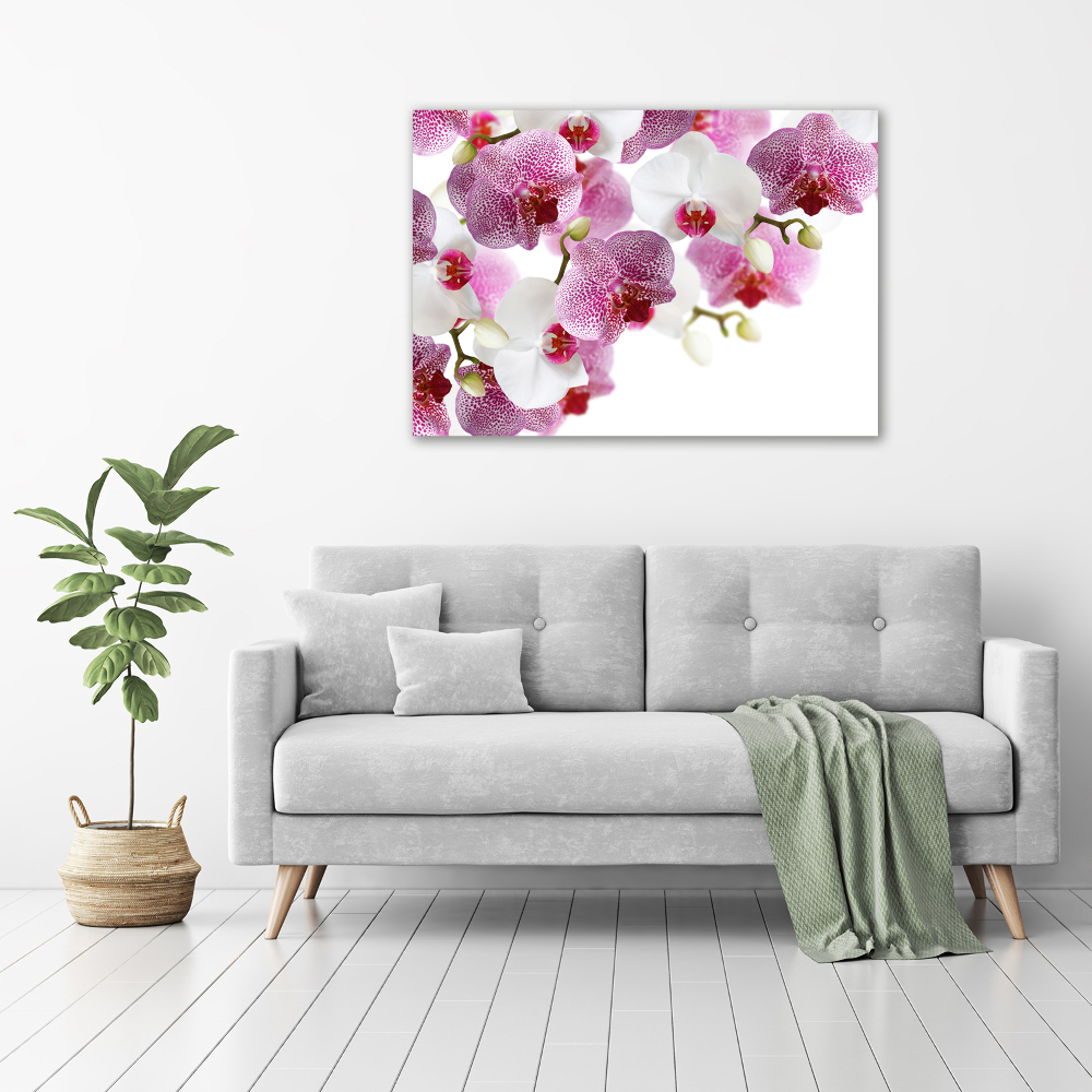 Tableau imprimé sur toile Orchidée plante