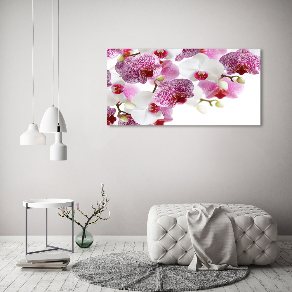 Tableau imprimé sur toile Orchidée plante