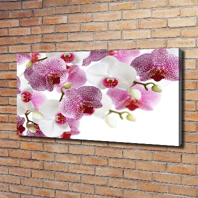 Tableau imprimé sur toile Orchidée plante