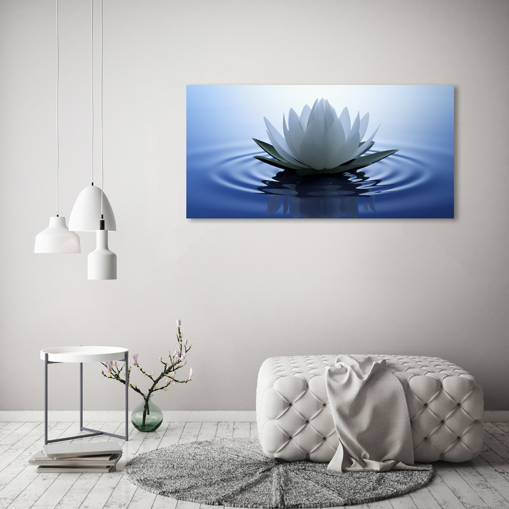 Tableau photo sur toile Nénuphar