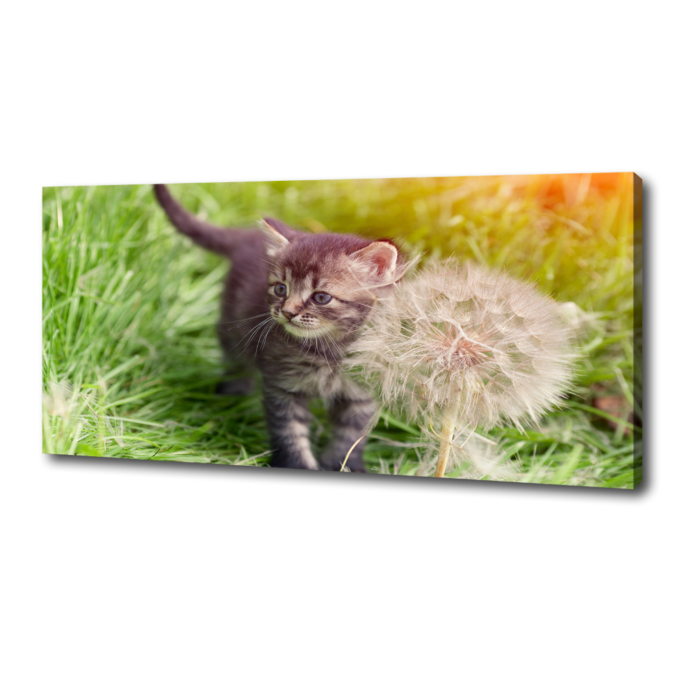 Tableau sur toile Chat avec une houppette