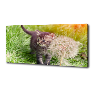 Tableau sur toile Chat avec une houppette