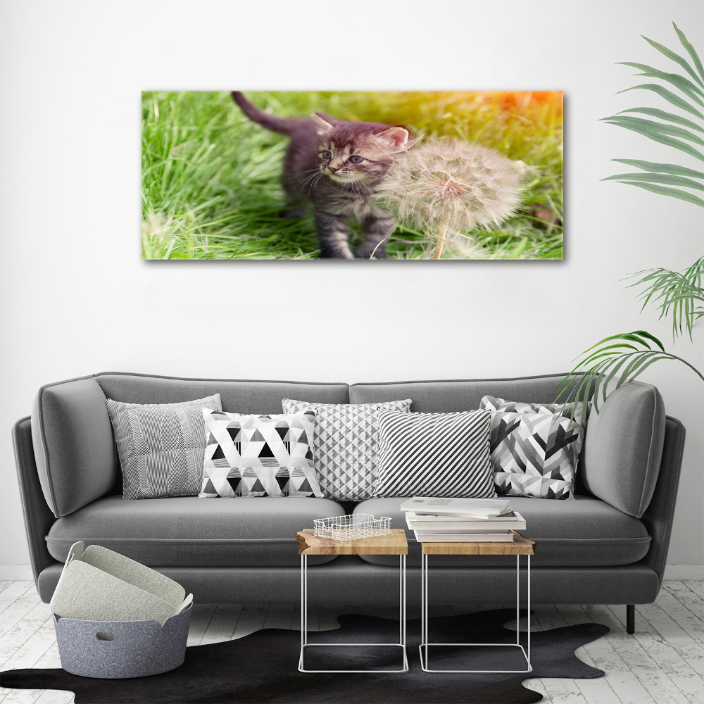 Tableau sur toile Chat avec une houppette