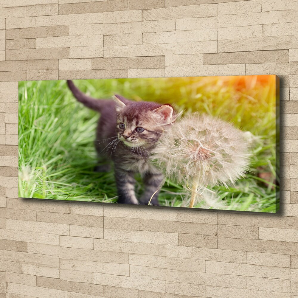 Tableau sur toile Chat avec une houppette