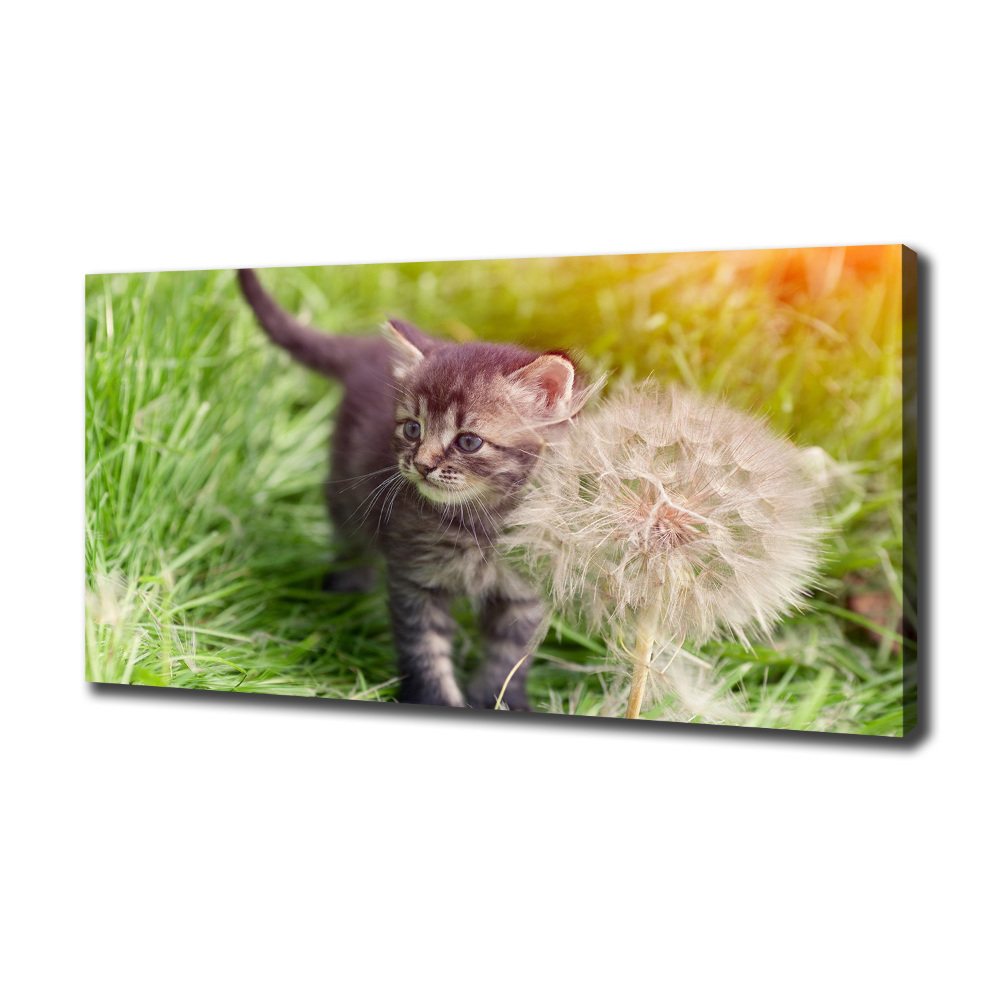 Tableau sur toile Chat avec une houppette