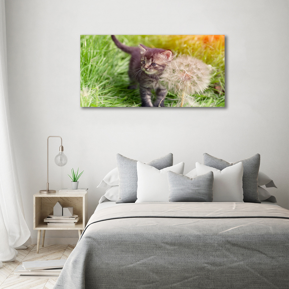 Tableau sur toile Chat avec une houppette