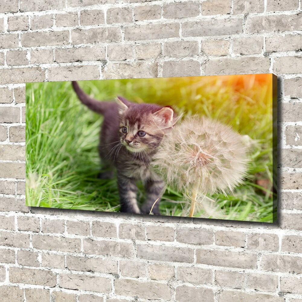 Tableau sur toile Chat avec une houppette