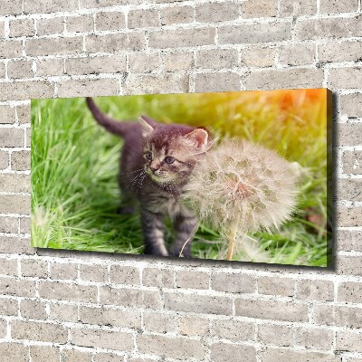 Tableau sur toile Chat avec une houppette