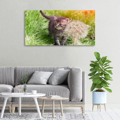 Tableau sur toile Chat avec une houppette