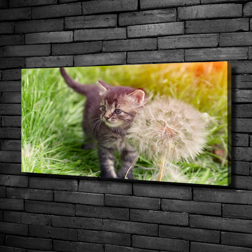 Tableau sur toile Chat avec une houppette