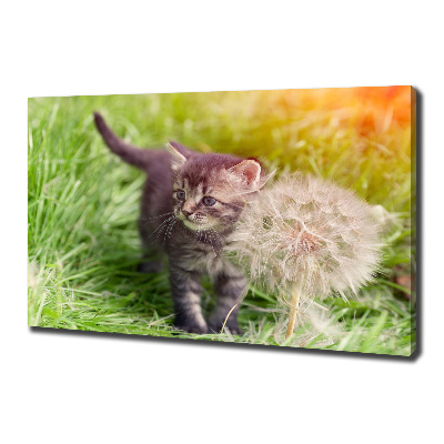 Tableau sur toile Chat avec une houppette