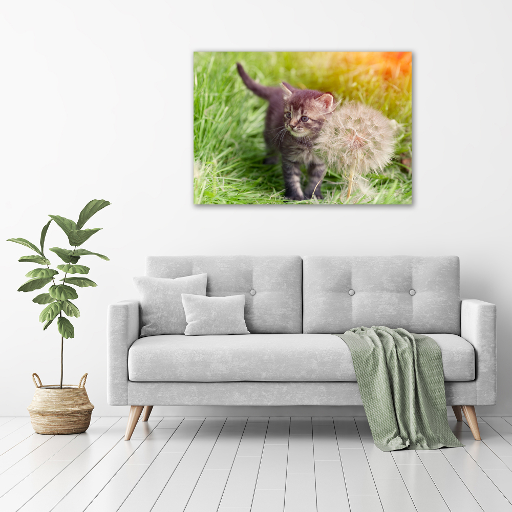 Tableau sur toile Chat avec une houppette