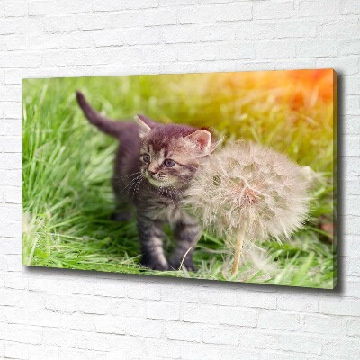 Tableau sur toile Chat avec une houppette