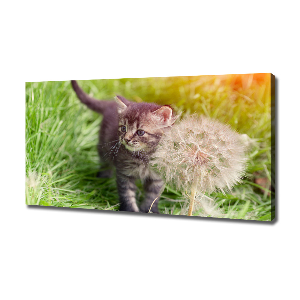 Tableau sur toile Chat avec une houppette