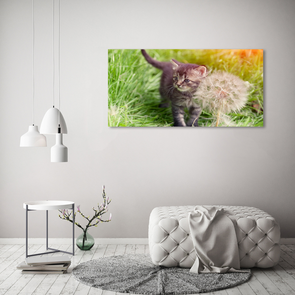 Tableau sur toile Chat avec une houppette