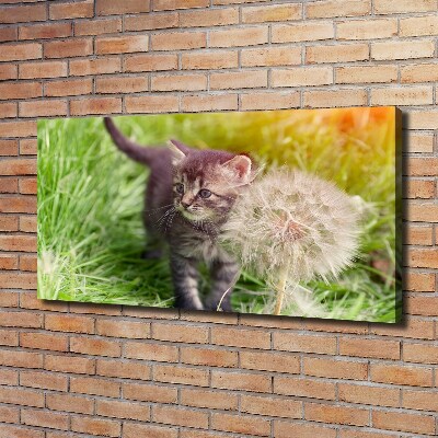 Tableau sur toile Chat avec une houppette