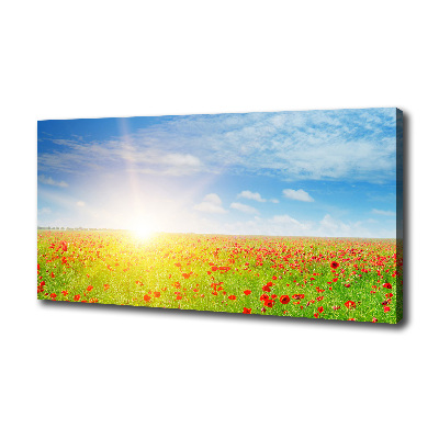 Tableau sur toile Champ de coquelicots