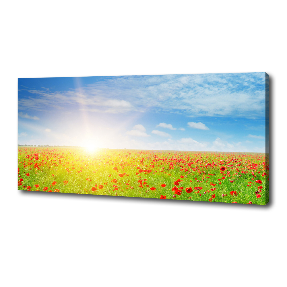 Tableau sur toile Champ de coquelicots