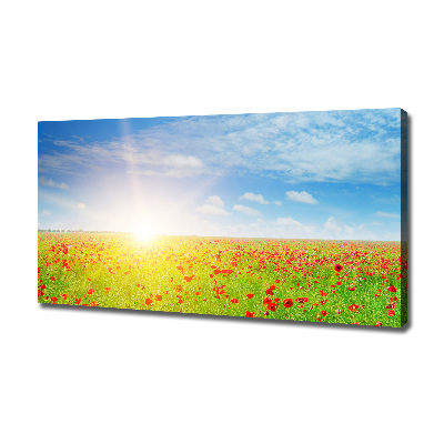 Tableau sur toile Champ de coquelicots