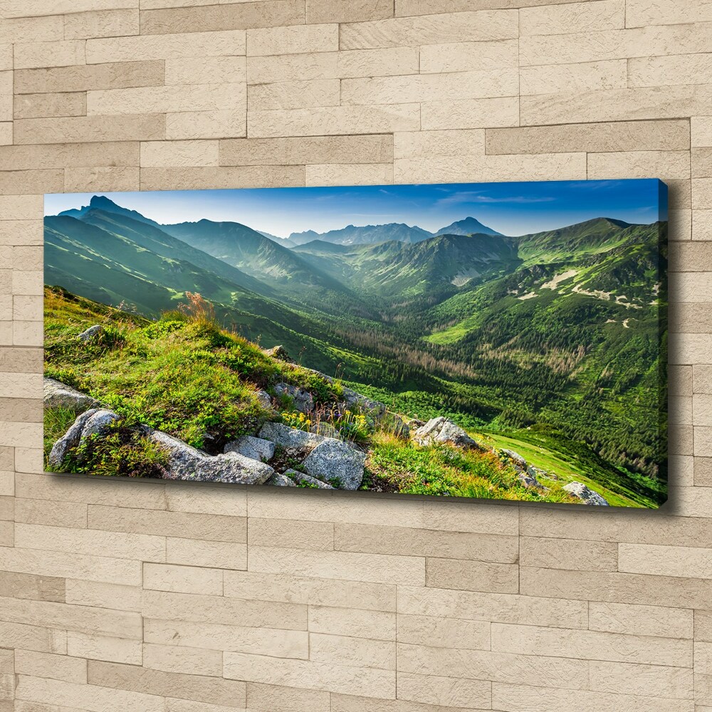 Tableau mural sur toile Aube dans les Tatras