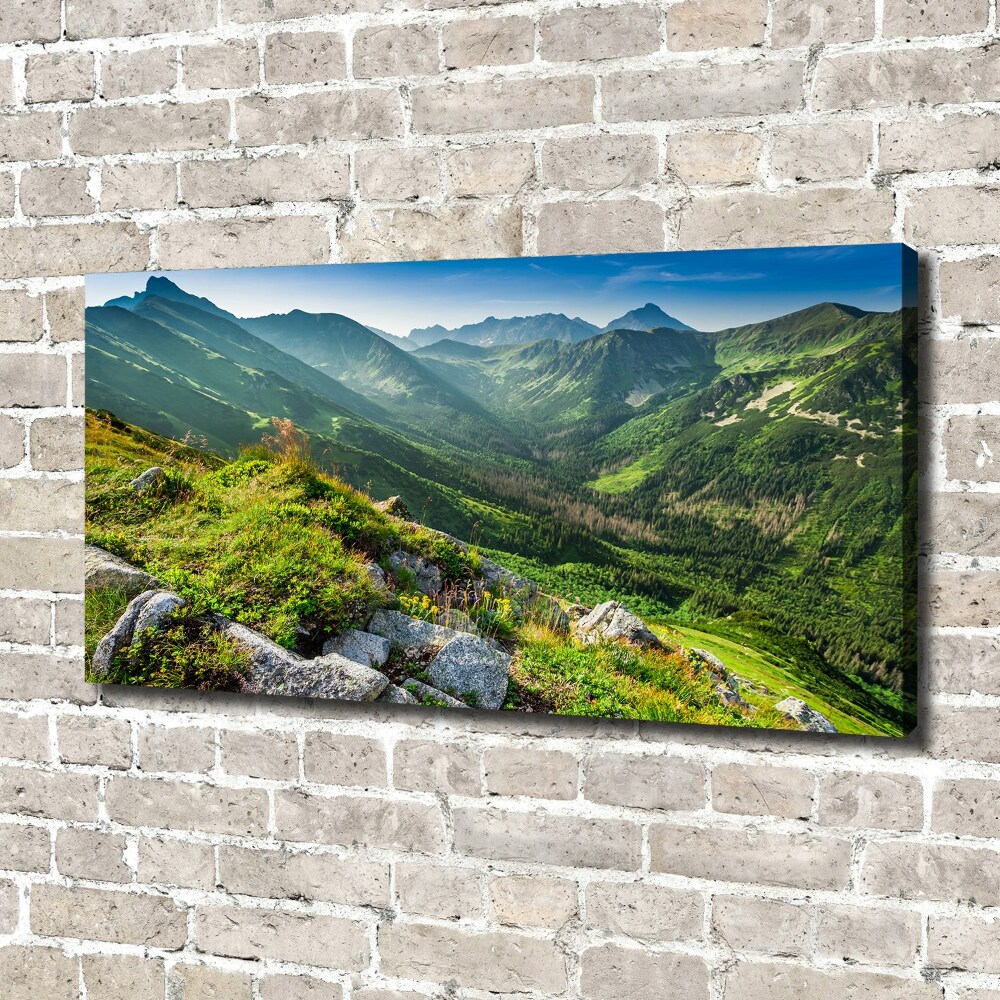 Tableau mural sur toile Aube dans les Tatras